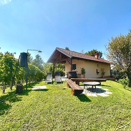 Holiday House Tomajna Podlehnik المظهر الخارجي الصورة